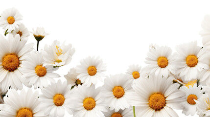 Whimsical white daisies border. © Shivaniii