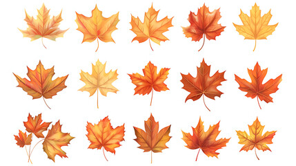 Fototapeta premium Set of multicolored autumn leaves isolated on white background