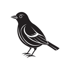 bird silhouette vector, black and white silhouette, vector and illustration