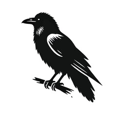 Obraz premium Raven Perched Silhouette