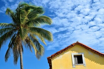 tropical paradise with palm trees and colorful building