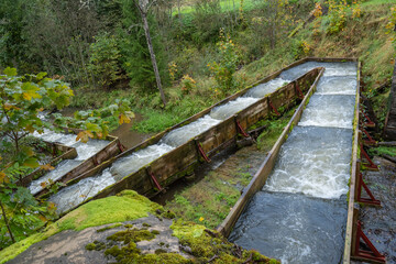 Fish pass or salmon ladder.  man made fish ladder in the streaming water  © Edijs