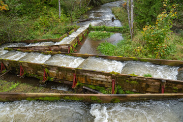 Fish pass or salmon ladder.  man made fish ladder in the streaming water
