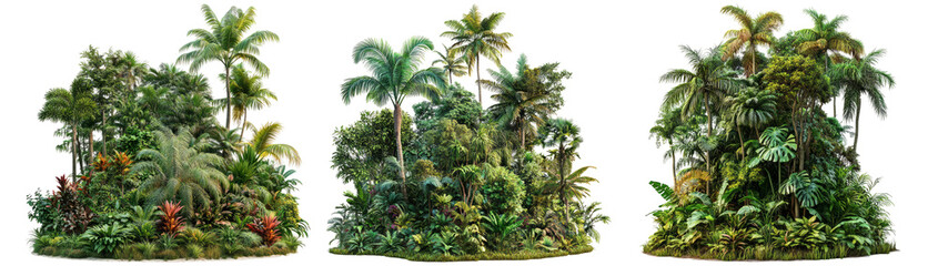 Lush Tropical Jungle Landscape Illustration Isolated on Transparent Background
