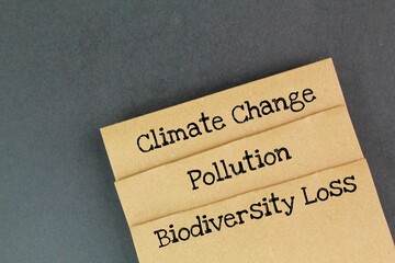 paper with the words climate change, pollution, and biodiversity loss. environmental issues in...