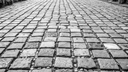 Cobblestone path leading into the distance under a cloudy sky.