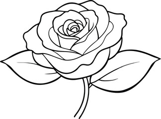 Vector Illustration of a Delicate Rose Bud Blooming into Beauty
