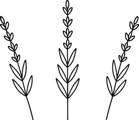 Elegant Lavender Stem Vector Art Perfect for Graphic Projects
