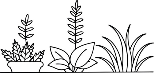 Whimsical Herb Garden Vector Art to Elevate Your Garden Aesthetic
