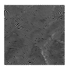 fabric with a wild animal skin pattern.zebra.	