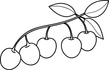 Lush Cherry Tree Branch with Juicy Fruit Vector Illustration Perfect for Seasonal Artwork

