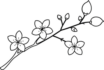 Vector Illustration of Cherry Blossom Branches in Full Bloom
