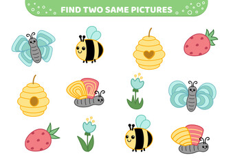 Find two same pictures. Nature. Bee, butterfly, flower. Game for children. Cartoon, vector