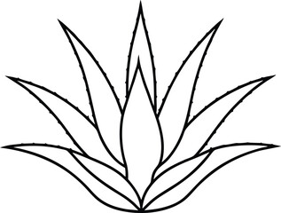 Lush Aloe Vera Plant Graphic Perfect for Eco Friendly Projects
