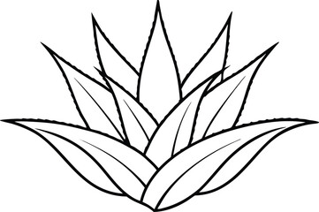 Stunning Aloe Vera Plant Vector Design for Your Home Decor
