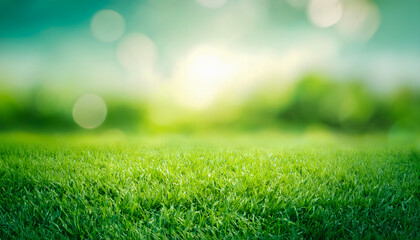 green grass background
