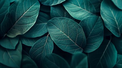 Obraz premium Abstract leaf vein pattern background for nature-themed designs