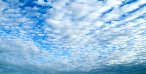 Blue sky background with fluffy clouds, panoramic wide angle view of blue cloudy sky in early morning. Blue sky with clouds, panoramic scene