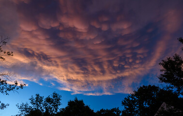 Striking sunset image shows pink clouds illuminated by the sun against a blue sky, New Jersey, USA