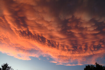 Striking sunset image shows pink clouds illuminated by the sun against a blue sky, New Jersey, USA