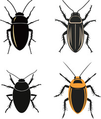 Cockroach Species Illustration