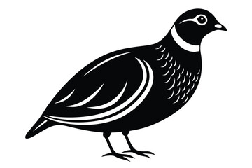 Solid color Northern Bobwhite animal vector design