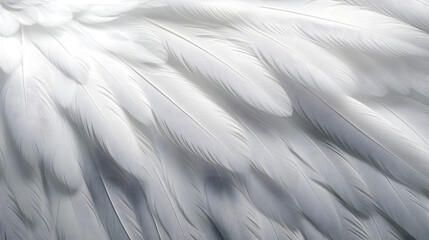 Fototapeta premium Closeup, white and feathers background for peace, calm and spirituality for God, religion and hope. Ai generated, feather and bird plumage for creative banner, texture or detail space for angel faith