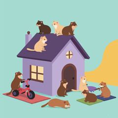 Ferrets Playing at the Cottage