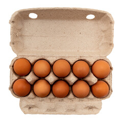 Cardboard box with chicken eggs on white background. Eco-friendly egg packaging isolate