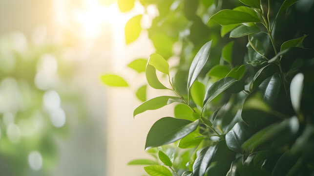 Wellness and Mental Health Clinic