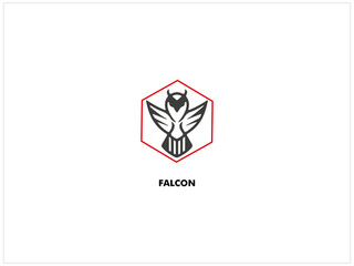 FALCON logo design ,vector, isolate template, illustration, which contain a brand identity .