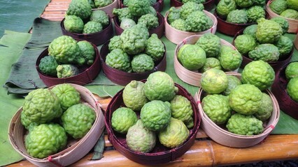 Close up photo of unripe kaffir lime or makrut lime fruit (Citrus hystrix) that still young and green. It has many uses, can make food, produce herbal medicine, health products.