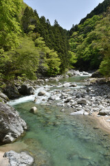 山の中を流れる渓流、透き通った綺麗な水