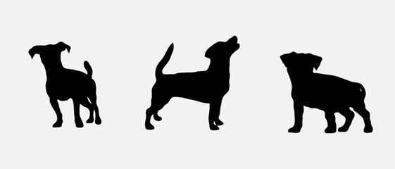 Dog silhouette collection vector. Dog in various poses and activities like jumping, sitting, running, playing, and standing. Silhouette black puppies, pet dog vector