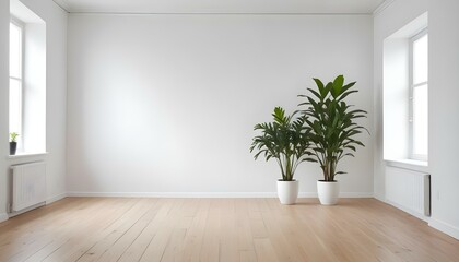 A minimalist white room with a wooden floor and a potted plant.