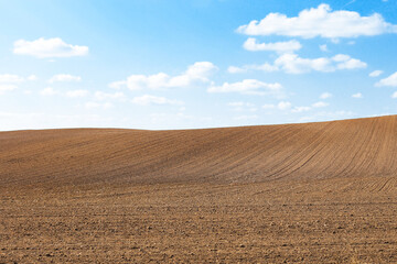 Fototapeta premium Farming field under a blue sky with scattered clouds. Plowed land ready for winter. Sand and earthy lines create a pattern on the field. Countryside landscape. Field plow view.