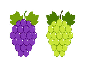 Red and green grapes on white background, grape types set. Logo design, vector illustration. Wine vector logo art. stock illustration