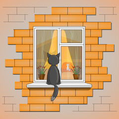 котик сидит на окне