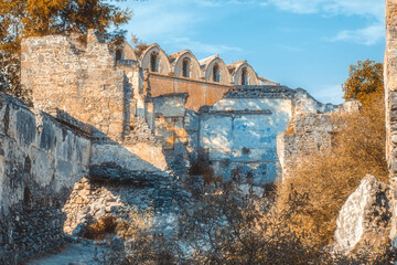 Fototapete bei efototapeten.de bestellen   