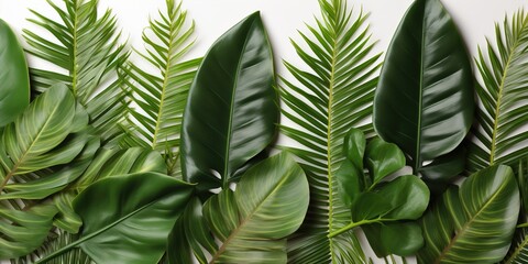 close up of green leaves