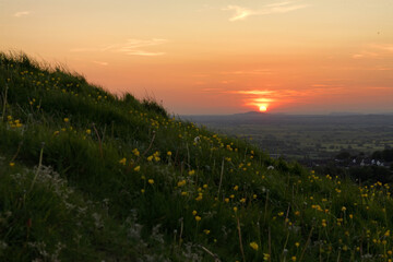 Obraz premium sunset over a wildflower-covered Glastonbury Tor hill with distant valley view