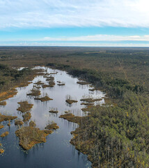 Cenas bog trail,Latvia nature.AUTUMN LANDSCAPE LATVIA.