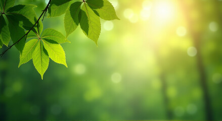 Obraz premium green leaves background