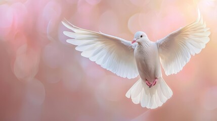Fototapeta premium A winged dove with copy space, symbolizing the Holy Spirit in the New Testament, set against a soft, ethereal background