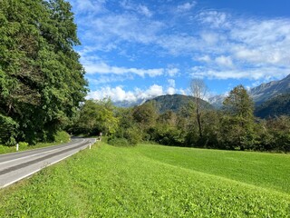 Mixed alpine forest in the Soča river valley, Bovec (Slovenia) - Alpenmischwald im Soca-Flusstal, Bovec (Slowenien) - Mešani alpski gozd v dolini reke Soče, Bovec (Slovenija)