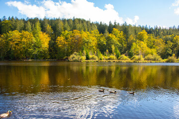 Reflections on a Wilderness Lake