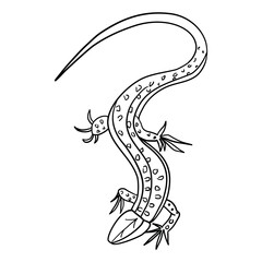 Black Lizard Tattoo Outline Vector Illustration Isolated on White
