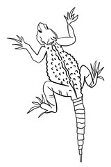 Black Contour Lizard, Gecko Clipart. Vector Illustration Isolated on White