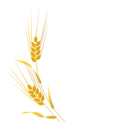 Border decoration with golden barleys