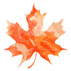 Obraz premium Colorful maple leaf artistic watercolor paint textured illustration. Autumn, fall, Thanksgiving isolated clip art element